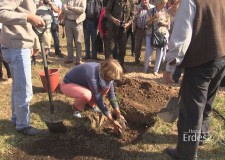 Komoróczi Lajos adománya, a ’Cserszegi mézes’ nevű cseresznyefajta ültetése a Tündérkertek V. Találkozóján – 2016.09.24