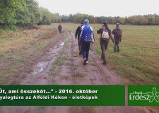 Backstage – „Út, ami összeköt…” – gyalogtúra az Alföldi Kéken – 2016.10.03
