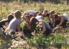 Csemeteültetés a “Madarak és Fák Napja” Emlékerdőben – 2016.09.30 – Filmmel!