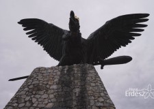 Hazai Erdész – 2016.11.20-i adás – vasárnap 11:00 – ECHO-TV