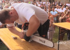 STIHL Országos Fakitermelő Bajnokság, Ráckeve – 2016.09.17 – Részlet