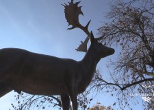 Dám trófeaszemle és szoboravató ünnepség a Gyulaj Zrt.-nél – 2016.10.26 – Filmekkel!
