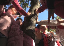 V. Mátrafüredi Erdészeti Nyílt Nap az Egererdő Zrt.-nél – 2016.11.12-i adás