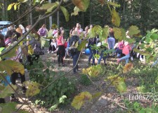 Csemeteültetés a “Madarak és Fák Napja” Emlékerdőben – 2016.11.12-i adás