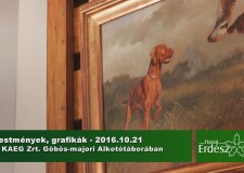 Festmények, grafikák a KAEG Zrt. Göbös-majori Alkotótáborában – Film – 2016.10.21