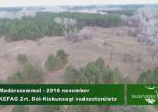 Madárszemmel – A KEFAG Zrt. Dél-Kiskunsági Erdészetének vadászterülete – 2016. november