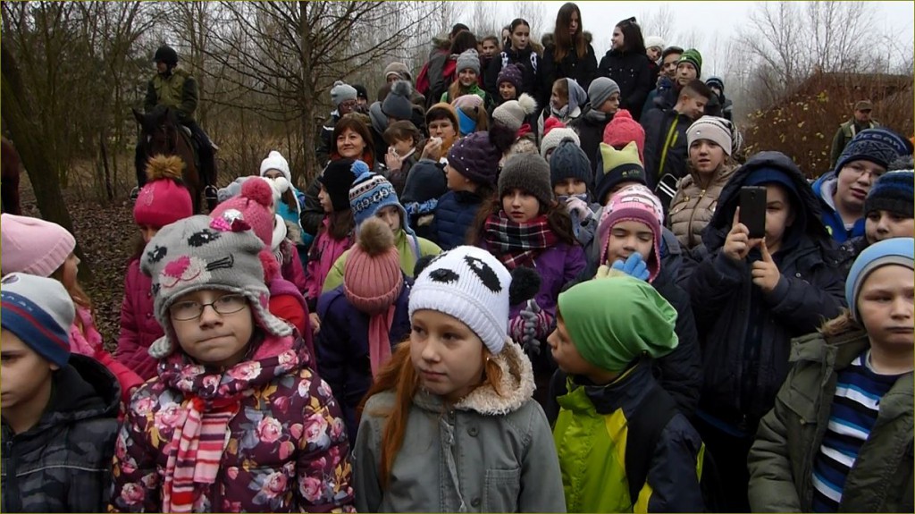 Állatok karácsonya a Budakeszi Vadasparkban – 2016.12.17