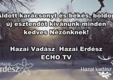 A Bátaszéki öreg tölgy – Karácsonyi film