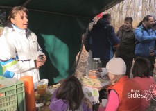 Az erdők kincsei védik az egészségünket! – Könyvesné Nyitrai Erika természetgyógyász előadása a Süttői őszi túrán – 2016.11.19