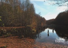 Madárszemmel – A Hubertlaki Kulcsosháztól a bakonyi Gyilkos-tóig – 2016