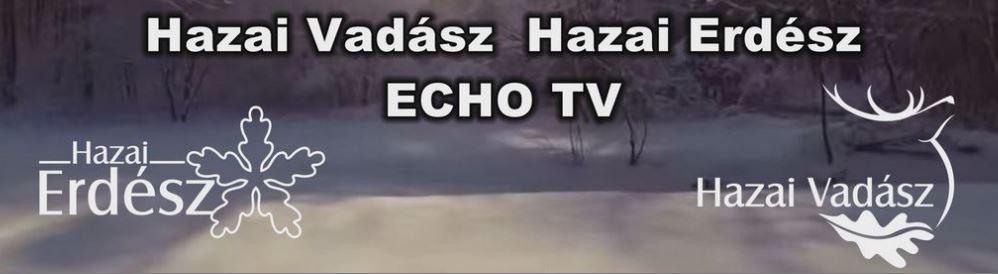 2017 -ben új, még kedvezőbb időpontban jelentkezik a HAZAI VADÁSZ – HAZAI ERDÉSZ TV Magazin: minden héten szombaton 17 órakor várjuk Nézőinket az ECHO-TV csatornán!