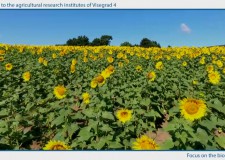 BIOEAST – Közép-kelet-európai együttműködés az agrárkutatás-fejlesztés érdekében