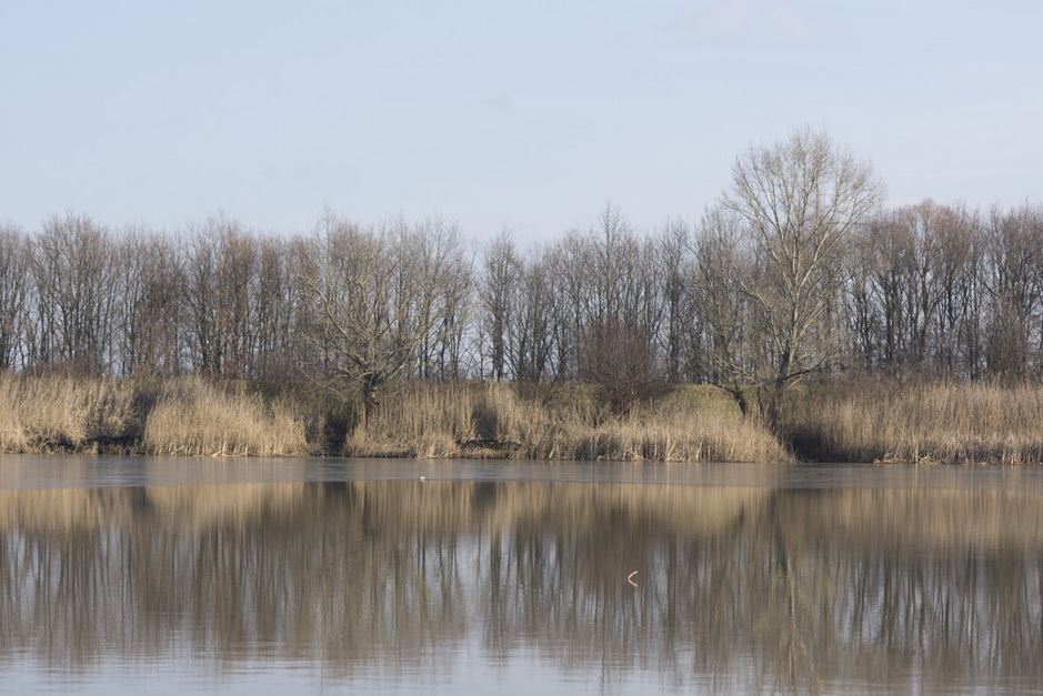 Tisza-tó – Lassan eltűnik a jég – 2017.02.24