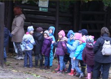 Ingyenes nyílt nap pedagógusoknak a Budakeszi Vadasparkban – 2017.03.31.