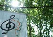 Három térségben rendezik a Muzsikál az erdő rendezvénysorozatot – 2017.03.12