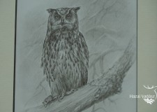 Valaczkai Erzsébet Festménykiállítás, Vásárosnamény_ 2017. február vége