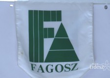 52. FAGOSZ Fakonferencia – Az előadások visszanézhetőek! – 2017.03.22-23.