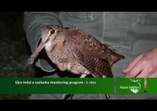 Újra indul a szalonka monitoring – I. rész _154. adás_2017.03.18-i adás