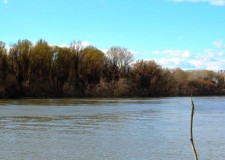 Tájékoztatás a Tisza-tó tavaszi feltöltési tervéről – 2017.03.16