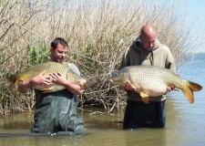 Tisza-tó: Fontos információk a behúzós horgászatról – 2017.03.16