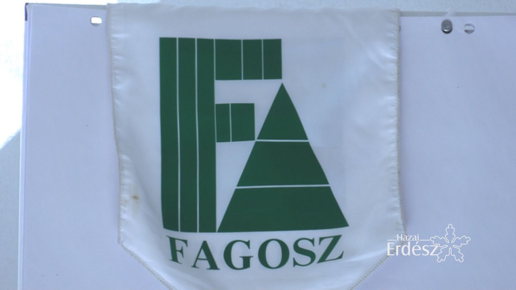 4_FAGOSZ