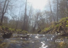 Madárszemmel és víz alatt – Bakony, Tiszta-víz-forrás – 2017. április