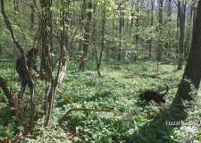 Életképek_CACT Nehezített Vércsapa Verseny_2017. 04. 09.