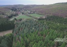 Madárszemmel – Obornak, Vadászházhoz közeli erdő – 2017. április
