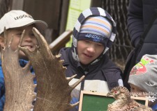 Vadászati Kulturális Nap a Budakeszi Vadasparkban_Interjú Szabó Péter igazgatóval_2017. 04. 29