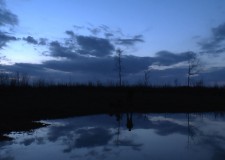 Műsorajánló – HAZAI VADÁSZ – 2017.04.15– szombat 17:00 óra – ECHO-TV