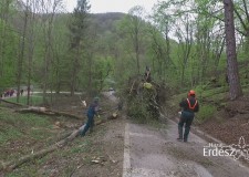 Műsorajánló – HAZAI ERDÉSZ – 2017.05.06– szombat 12:30 óra – ECHO-TV