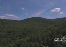 Madárszemmel_III. Parkerdő Kupa Fakitermelő Verseny_2017. 06. 11
