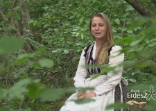 Muzsikál az Erdő a “Hírös Városban” – Bimbó Brigitta előadása – 2017. 05. 26 – 28