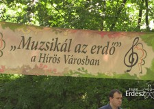 Muzsikál az Erdő – Ahol a zene és az erdő összefonódik_2017.09.28
