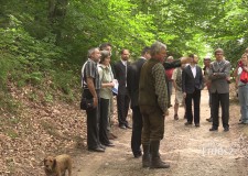 Arborétumok Napja a Pilisi Parkerdő Zrt.-nél – 169. adás – 2017.07.01-i adás