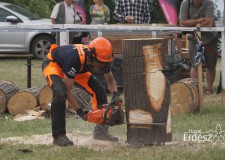 V. Husqvarna Országos Fakitermelő Verseny_Ripszám István vezérigazgató helyettes_2017. 06. 17