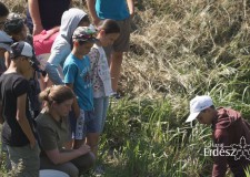 Dévai gyerekek táboroztak a Bakonyerdő Zrt.-nél – 172. adás – 2017.07.22-i adás