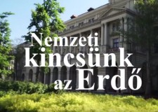 Elindult a Nemzeti kincsünk az Erdő című kisfilm sorozat sugárzása az MTVA M5 csatornán! – 2017.07.06