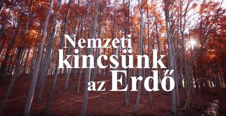 Elindult a Nemzeti kincsünk az Erdő című kisfilm sorozat sugárzása az MTVA M5 csatornán! – 2017.07.06