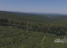 Madárszemmel – Stájer-Ház Erdészeti Erdei Iskola és környéke_2017. augusztus