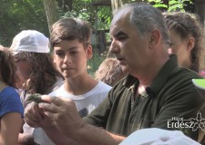 “Színes volt az idei programkínálatunk” – Varga László erdei iskolai referens, Szombathelyi Erdészeti Zrt._2017.08.03