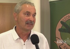 “A határon túli magyarokat mindig is szívesen támogattuk!” – Bakó Csaba vezérigazgató-helyettes, Szombathelyi Erdészeti Zrt.