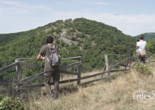 Műsorajánló – HAZAI ERDÉSZ – 2017.08.26 – szombat 12:30 óra – ECHO-TV