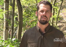 “Balesetveszélyes a vágástér szélén tartózkodni” – Bognár Bence erdészetvezető, Szilvásváradi Erdészet