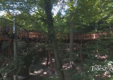 Madárszemmel – Sás-völgyi lombkorona sétány és környéke_2017.08.29