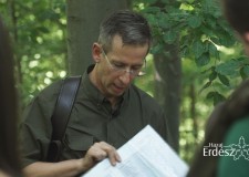 Örökerdő gazdálkodás a Pilisi Parkerdő Zrt.-nél_Csépányi Péter főmérnök_2017.08.31