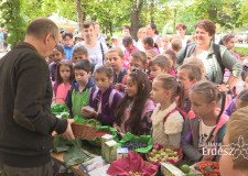 VII. Erdészeti Nyílt Nap az Egererdő Zrt.-nél_2017.09.05