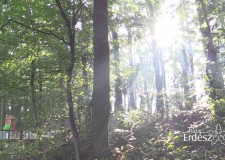 Deseda Kalanderdő Erdei Kalandsétányának avatóünnepsége_Filmelőzetes_2017.09.04