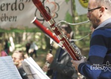 Életképek_Muzsikál az erdő a Körösök völgyében_2017.09.30