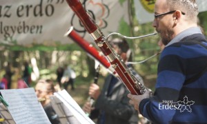 Életképek_Muzsikál az erdő a Körösök völgyében_2017.09.30